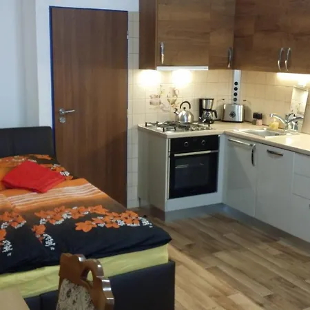 Room&kitchen Next To Castle Guest house Prague